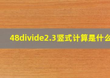 48÷2.3竖式计算是什么?