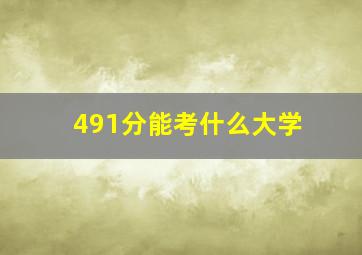 491分能考什么大学