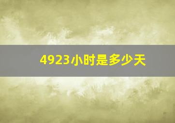 4923小时是多少天(