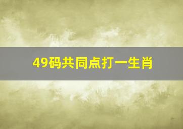 49码共同点打一生肖