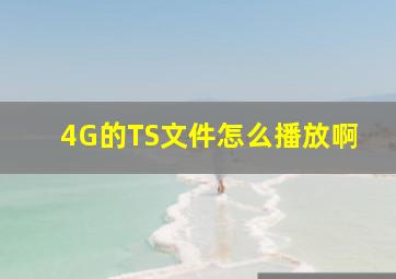 4G的TS文件怎么播放啊