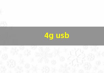 4g usb