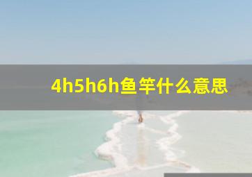 4h5h6h鱼竿什么意思