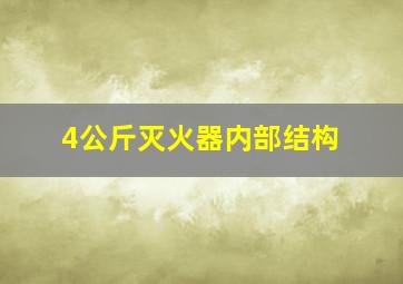 4公斤灭火器内部结构(