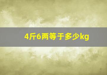 4斤6两等于多少kg