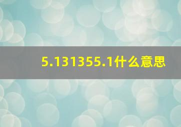 5.131355.1什么意思(