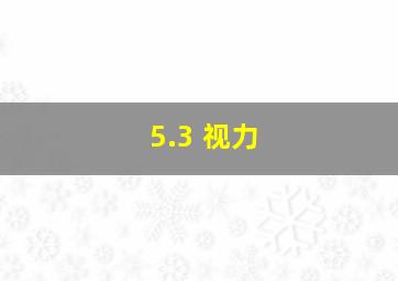 5.3 视力