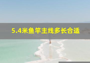 5.4米鱼竿主线多长合适