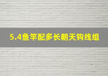 5.4鱼竿配多长朝天钩线组