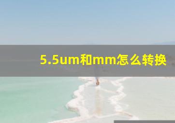 5.5um和mm怎么转换(