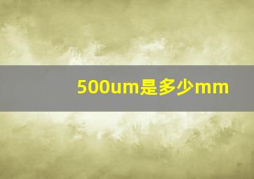 500um是多少mm