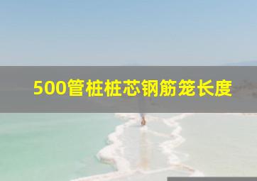 500管桩桩芯钢筋笼长度