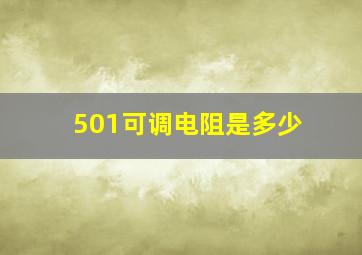 501可调电阻是多少