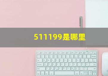 511199是哪里