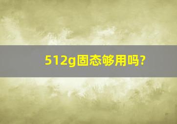 512g固态够用吗?