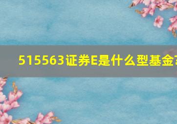 515563证券E是什么型基金?