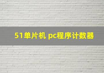 51单片机 pc程序计数器