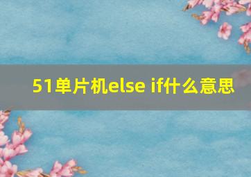 51单片机else if什么意思