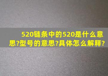 520链条中的520是什么意思?型号的意思?具体怎么解释?