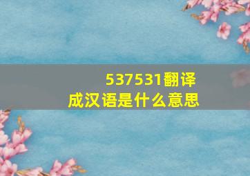 537531翻译成汉语是什么意思
