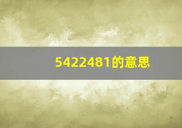 5422481的意思