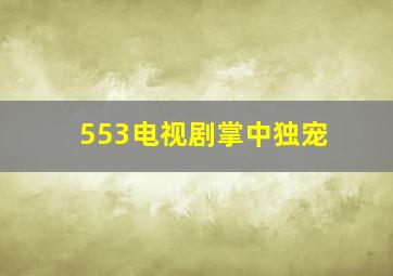 553电视剧掌中独宠