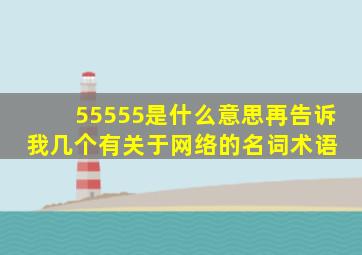 55555是什么意思,再告诉我几个有关于网络的名词术语 