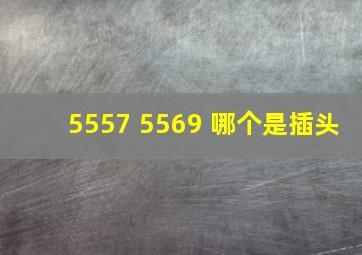 5557 5569 哪个是插头