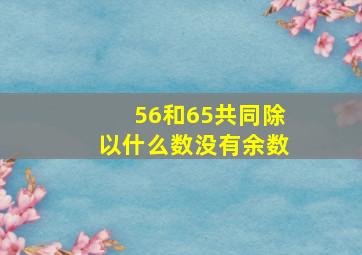 56和65共同除以什么数没有余数