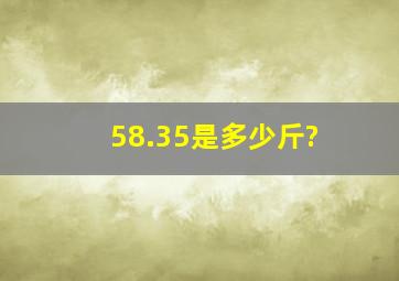 58.35是多少斤?