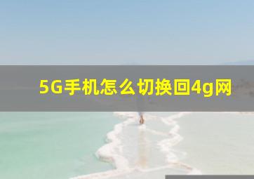 5G手机怎么切换回4g网