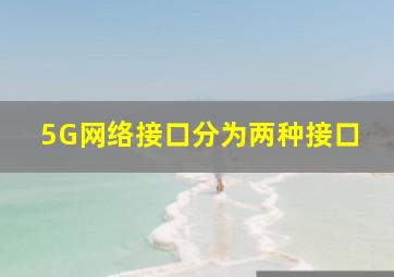 5G网络接口分为两种接口。