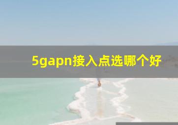 5gapn接入点选哪个好