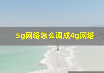 5g网络怎么调成4g网络