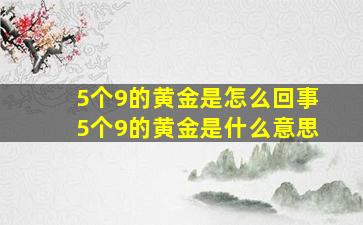 5个9的黄金是怎么回事5个9的黄金是什么意思