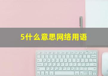 5什么意思网络用语