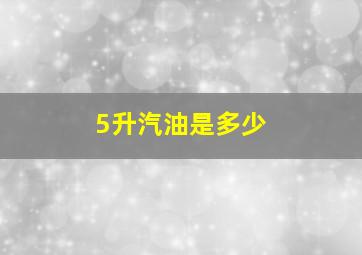 5升汽油是多少(