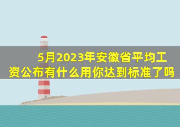 5月,2023年安徽省平均工资公布,有什么用你达到标准了吗
