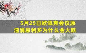 5月25日欧佩克会议原油消息利多为什么会大跌