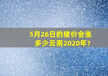 5月26日的猪价会涨多少云南2020年?