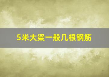 5米大梁一般几根钢筋(