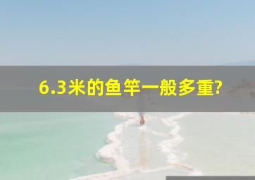 6.3米的鱼竿一般多重?