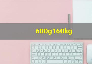 600g160kg;