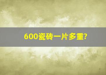 600瓷砖一片多重?