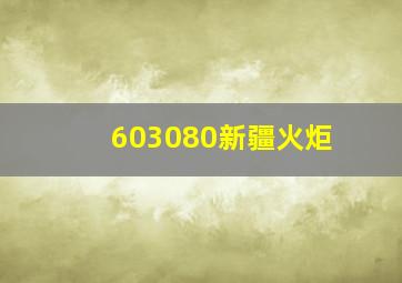 603080新疆火炬