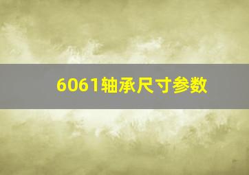 6061轴承尺寸参数