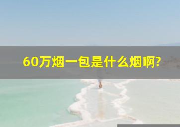 60万烟一包是什么烟啊?