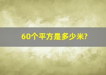 60个平方是多少米?