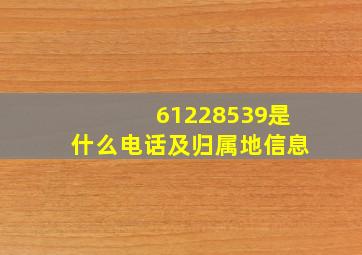 61228539是什么电话及归属地信息