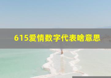 615爱情数字代表啥意思